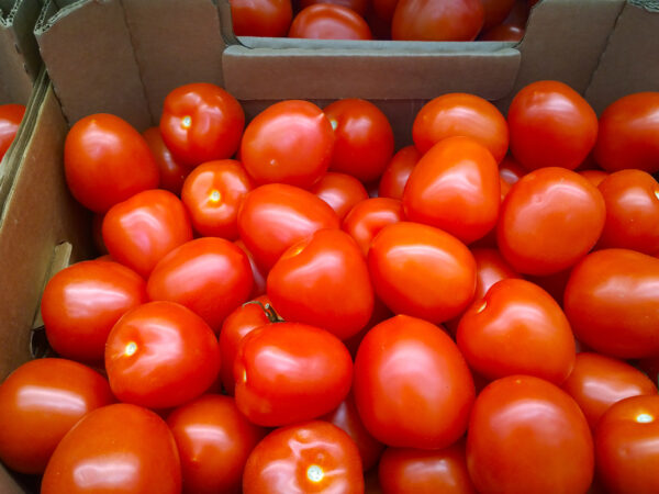 Fresh red tomatoes in boxes. Vegetables in local farmers market or supermarket. Rich harvest. Products supply. Retail industry. Rising food price. Inflation. Green grocery store. Shop. Agriculture.
